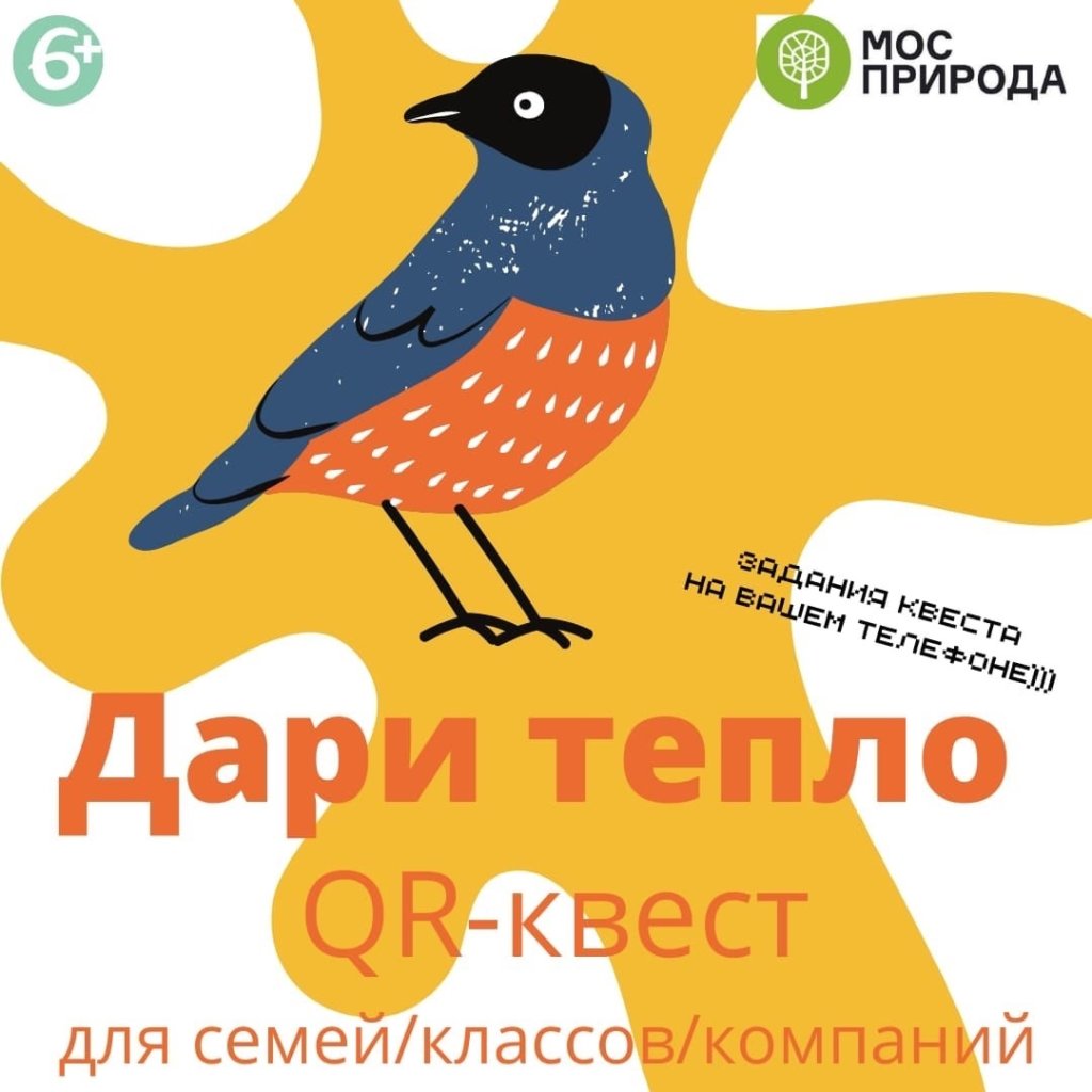 Найти и накормить