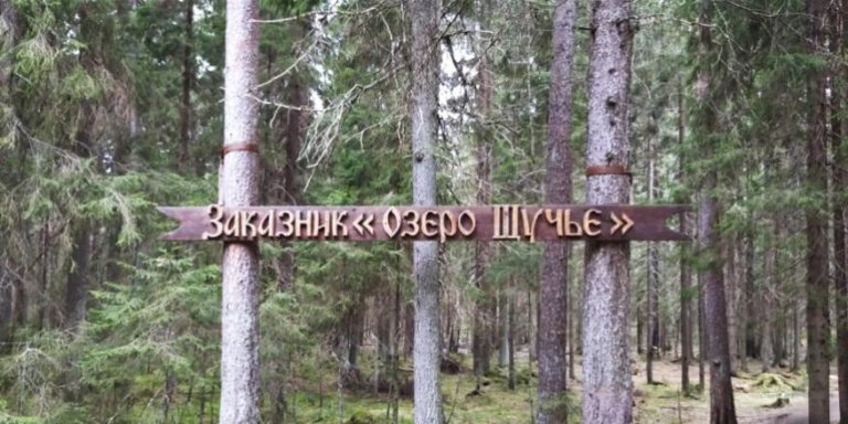 В Петербурге очистят заказник «Озеро Щучье»