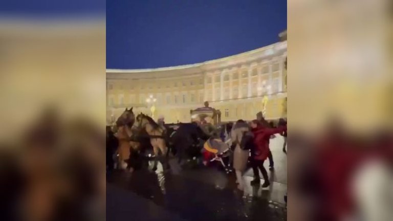 В Петербурге испуганная лошадь с каретой наехала на людей