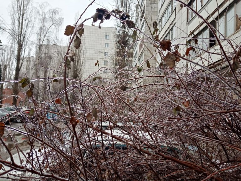 Воронеж накрыло ледяным дождем