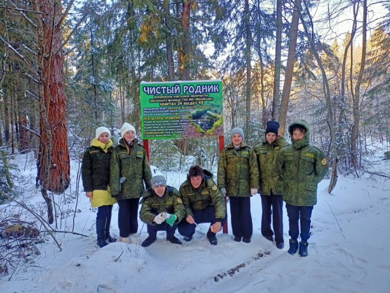 Названы лучшие школьные лесничества Подмосковья