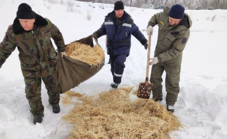 Оренбуржцы бурят лёд ради спасения рыб