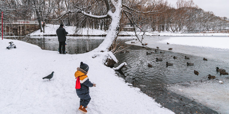 В Москве приведут в порядок одиннадцать водоёмов