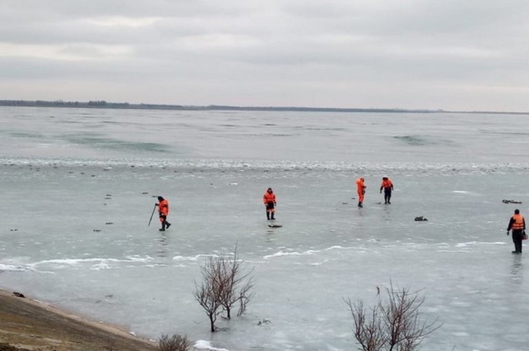 По факту массовой гибели птиц на Ставрополье возбудили уголовное дело