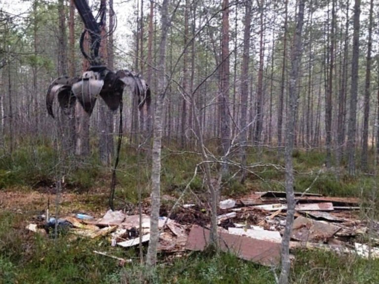 Сто свалок в этом году ликвидируют в Архангельской области