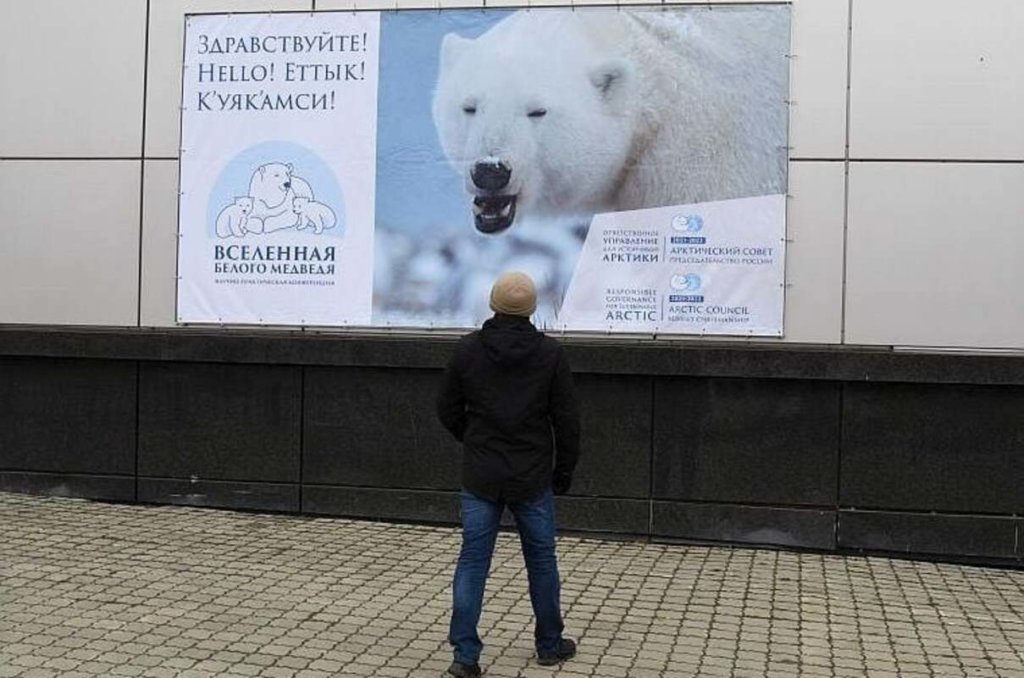 Конференция «Вселенная белого медведя» пройдет в формате телемоста «Москва-Анандырь»