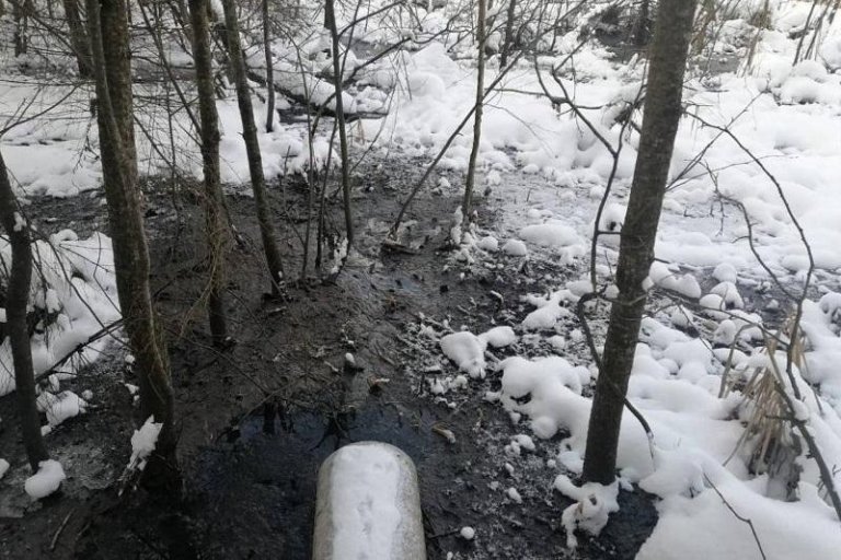 ООО «Неополис» уличили в сбросе стоков в Подмосковные леса