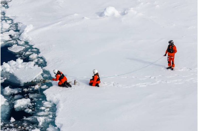 Арктические водоросли загрязнены микропластиком
