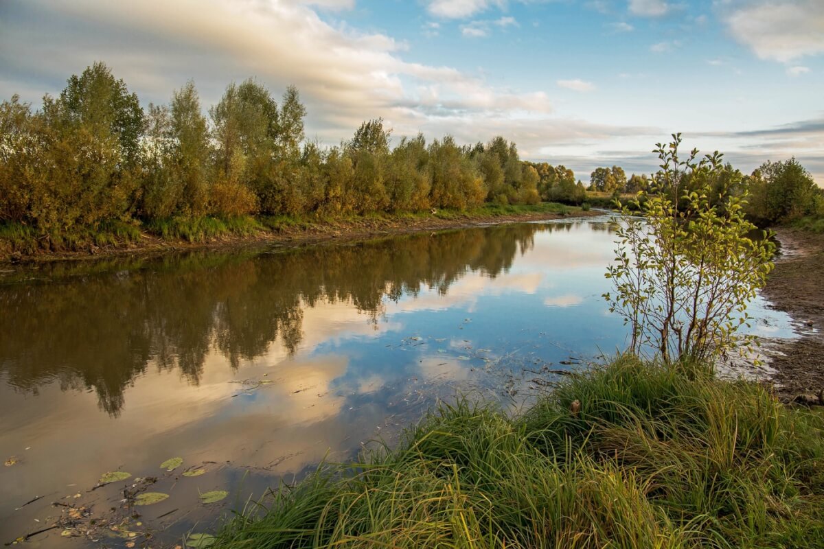 В Татарстане объявили тендер на расчистку русла реки Сумка ⋆ НИА Экология  ⋆
