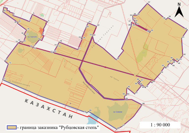 В Алтайском крае появилась «Рубцовская степь»