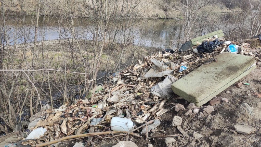 Останки животных сбрасывают водоохранную зону реки в Красноярском крае