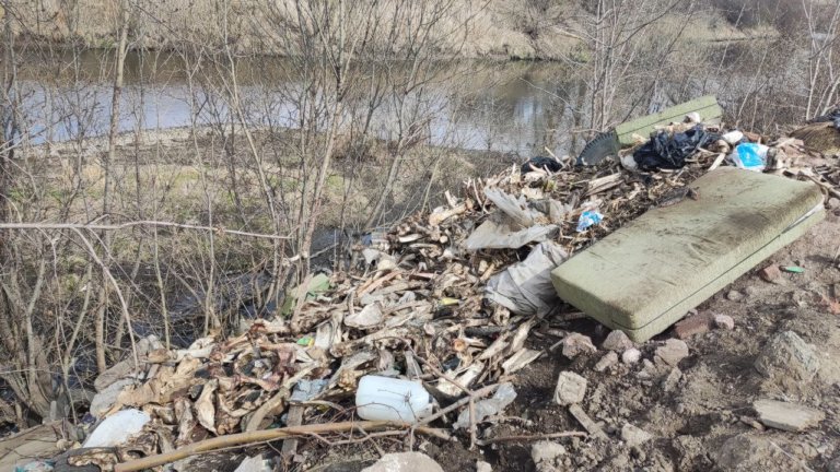 Останки животных сбрасывают водоохранную зону реки в Красноярском крае