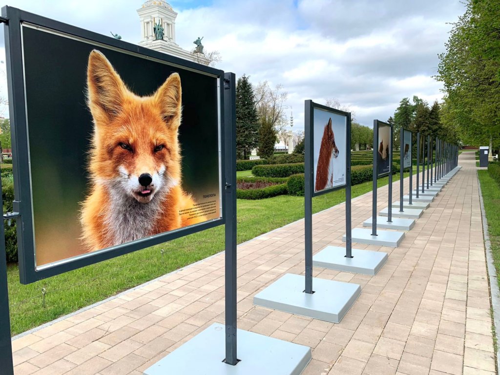 Фото: Пресс-служба Росзаповедцентр Минприроды России