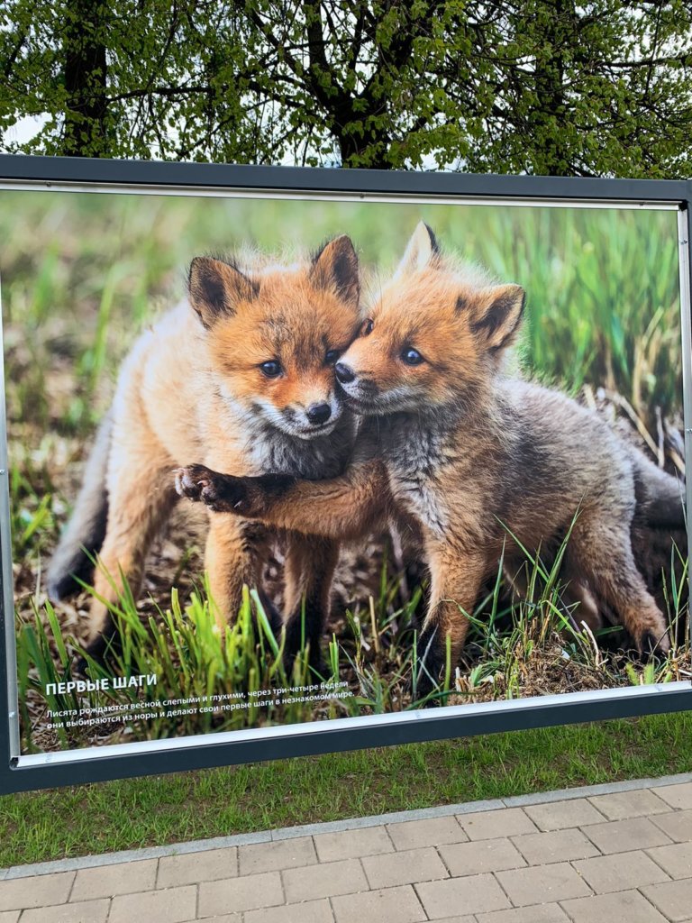 Фото: Пресс-служба Росзаповедцентр Минприроды России