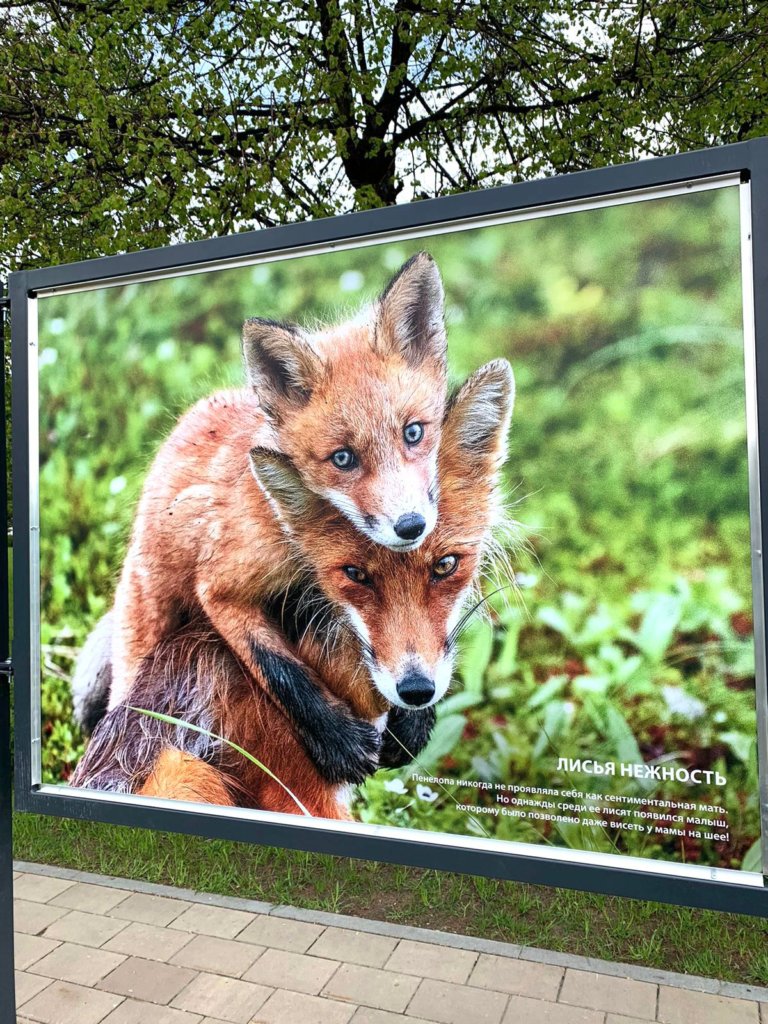 Фото: Пресс-служба Росзаповедцентр Минприроды России