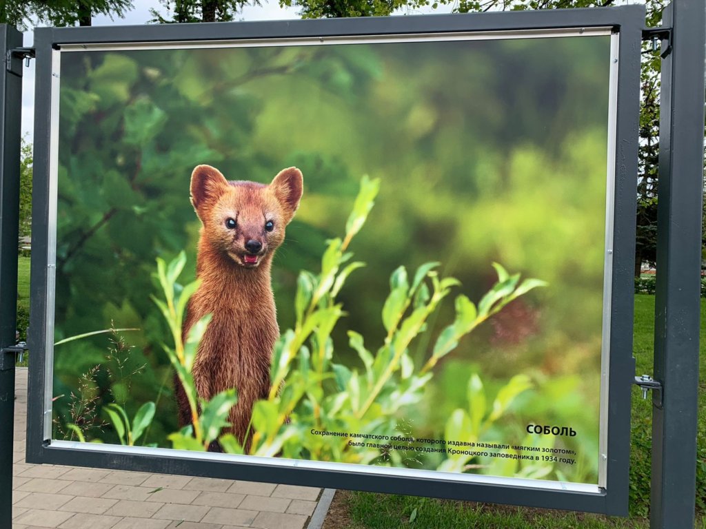 Фото: Пресс-служба Росзаповедцентр Минприроды России