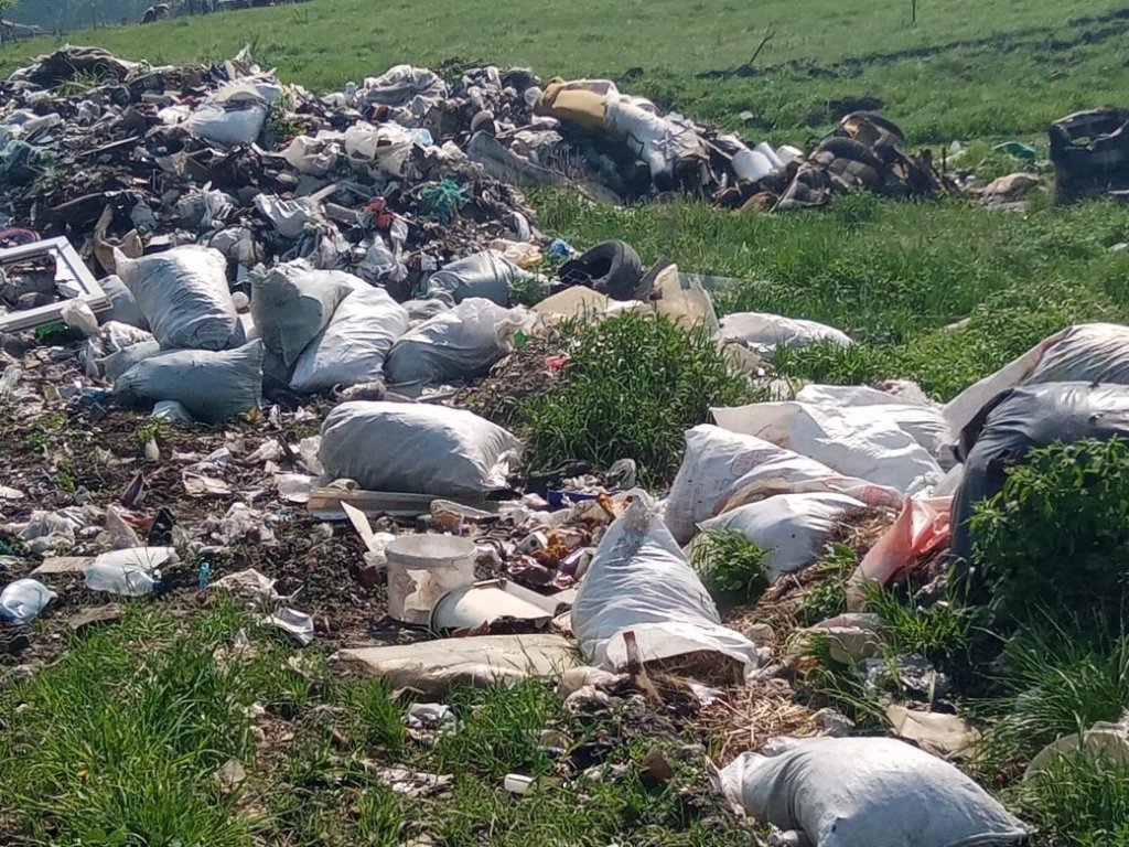 Фото: «Экоинспекция» ОНФ