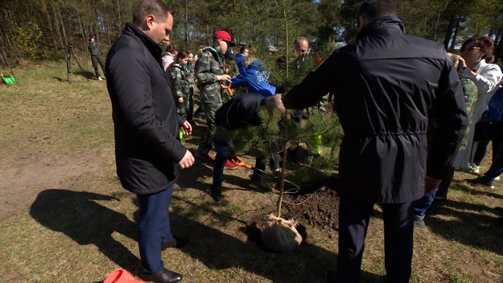 В Санкт-Петербурге в рамках акции «Сад памяти» высадили более 2 тысяч деревьев