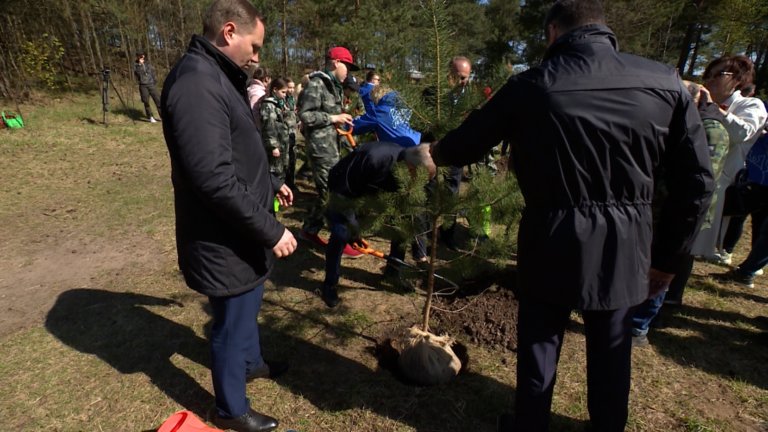 В Санкт-Петербурге в рамках акции «Сад памяти» высадили более 2 тысяч деревьев