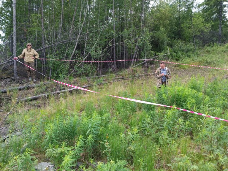В заповеднике «Витимский» начался полевой этап мониторинга биоразнообразия