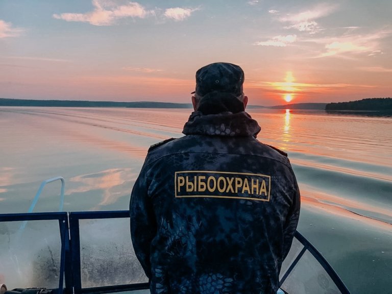 38 км сетей, 2,7 тысяч протоколов и 4 млн штрафов