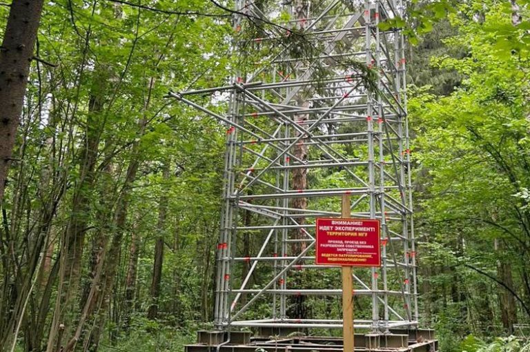 В Подмосковье запущен в работу карбоновый полигон