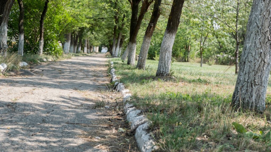 Жители Нижнего Новгорода отстояли зеленую аллею