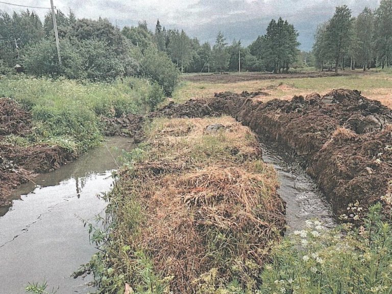 Река Незнайка в Подмосковье скоро может исчезнуть