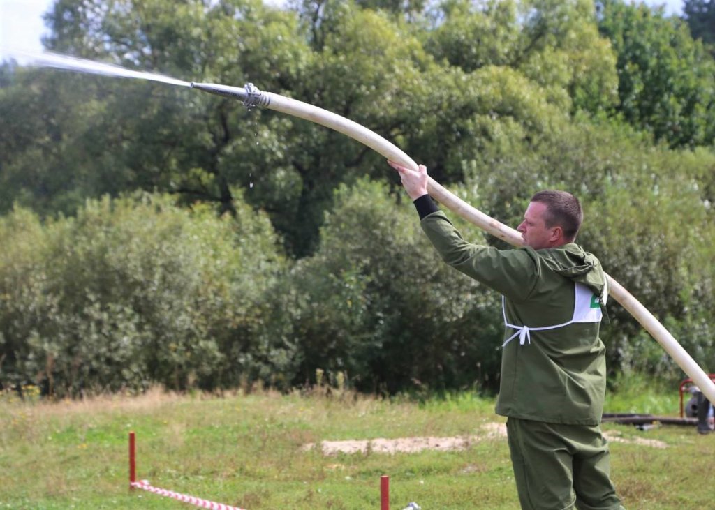 Фото: Пресс-служба Комитета лесного хозяйства Московской области