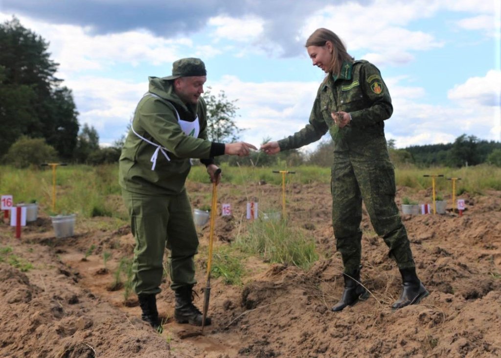 Фото: Пресс-служба Комитета лесного хозяйства Московской области