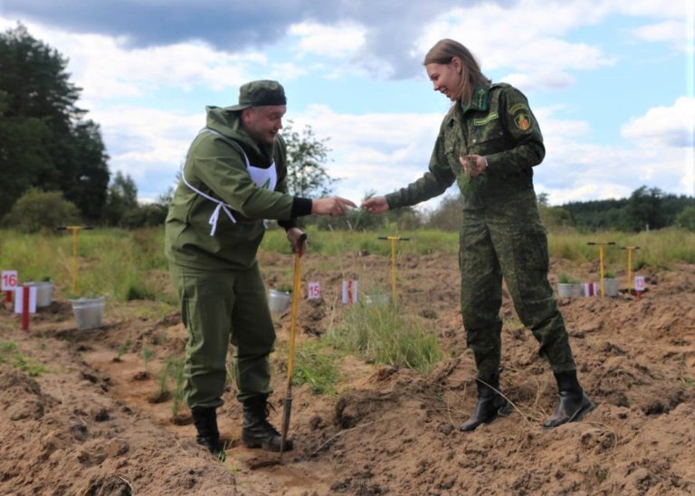 Лесное образование станет частью технологического лидерства России
