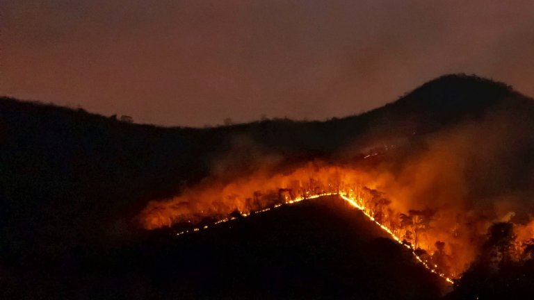 В Геленджике второй день горит лесная подстилка