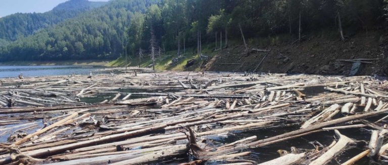 На водохранилище в Саянах обнаружено почти 8000 кубометров древесного хлама
