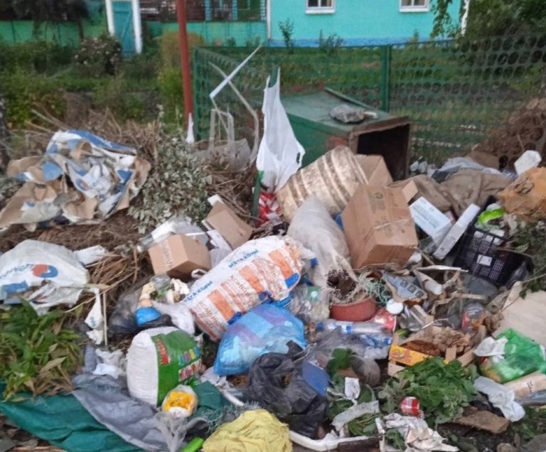 Ливны в Орловской области утопают в отходах