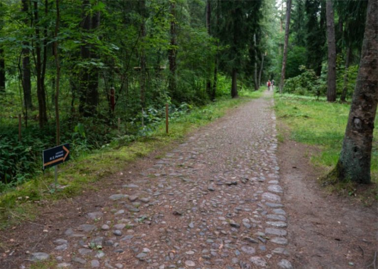 В Санкт-Петербурге откроется шестой по счету экомаршрут
