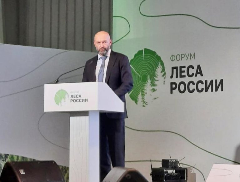 Замглавы Минприроды РФ: Леса являются важнейшим ресурсом для дальнейшего развития национальной экономики