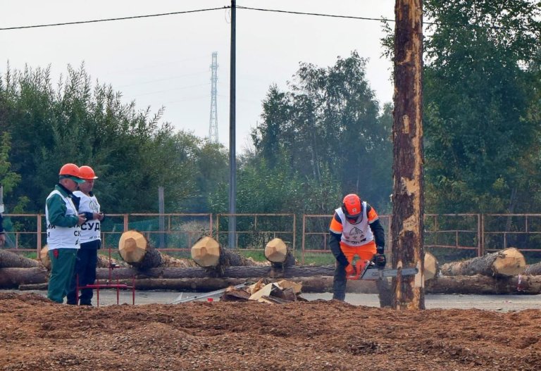 В Прибайкалье выяснили кто лучший лесоруб России