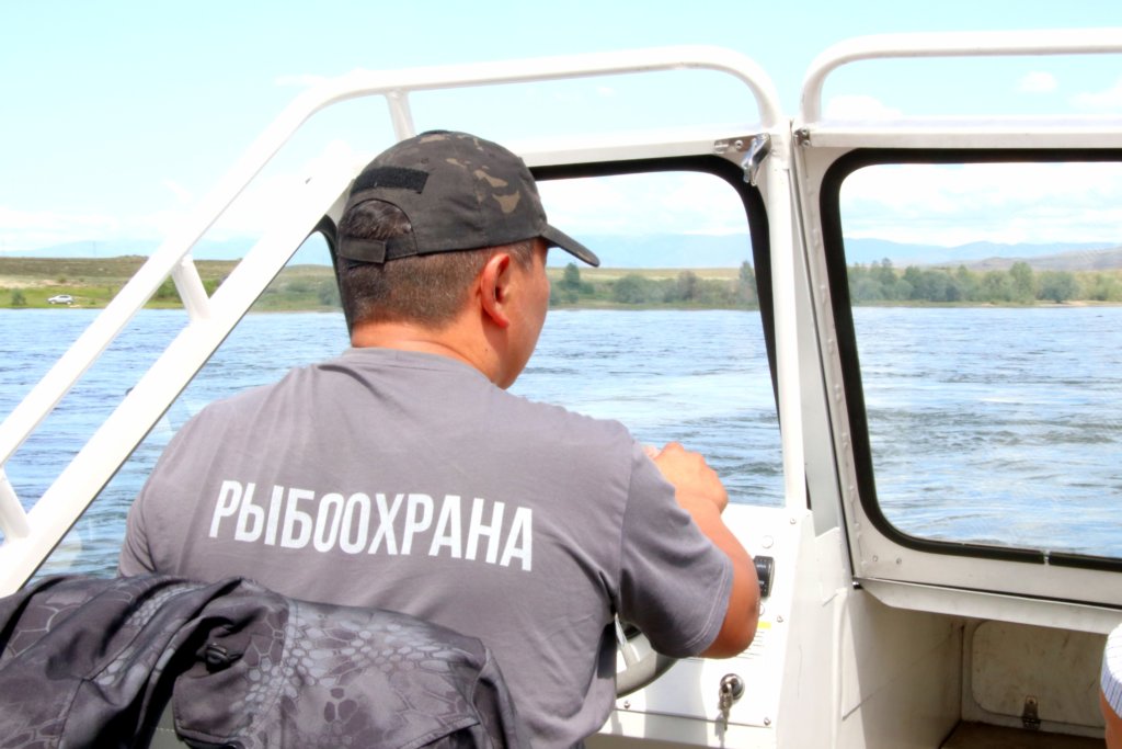 38 тонн нелегальной рыбы изъяли в период нереста в Приморье