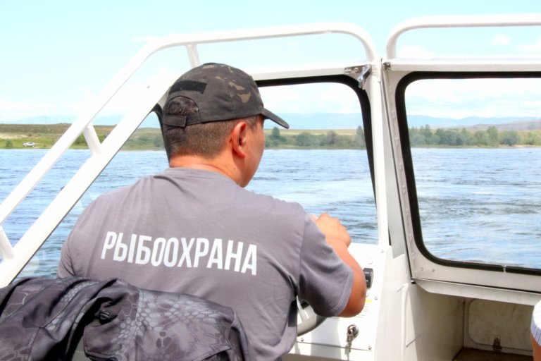 38 тонн нелегальной рыбы изъяли в период нереста в Приморье