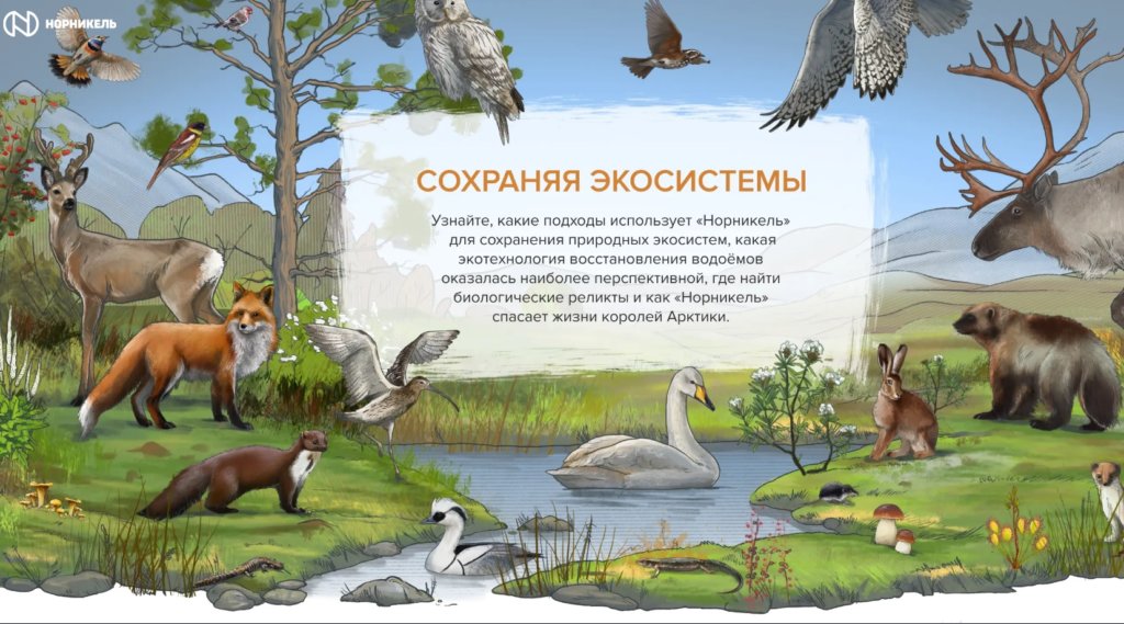 «Норникель» создал сайт с собственными экопроектами