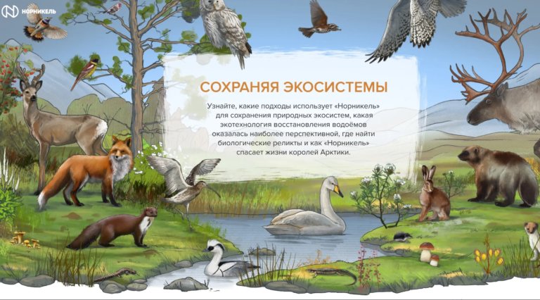 «Норникель» создал сайт с собственными экопроектами