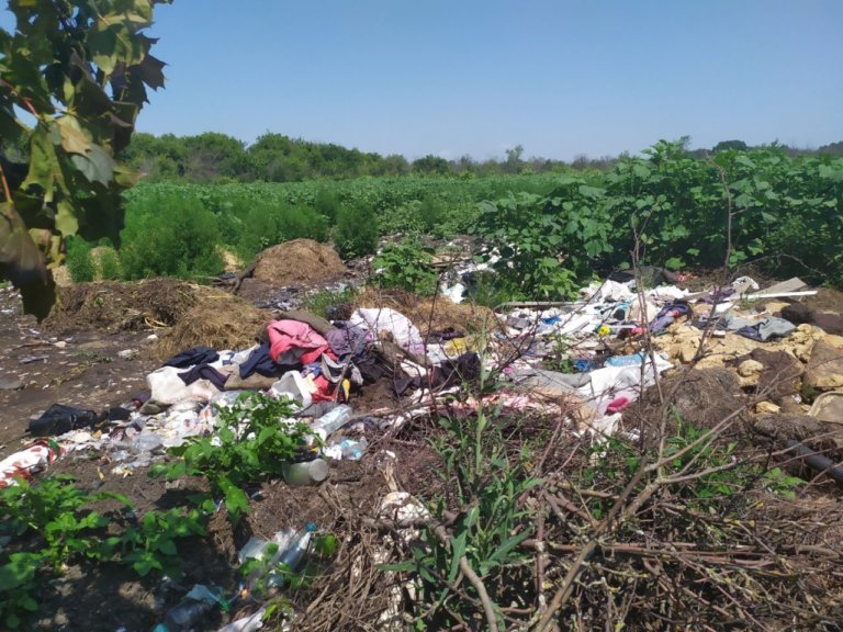 В Воронежской области выявлено 55 нелегальных свалок
