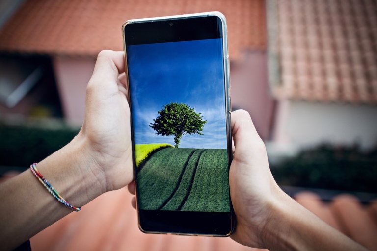 Клиенты Tele2 смогут позвонить диким животным