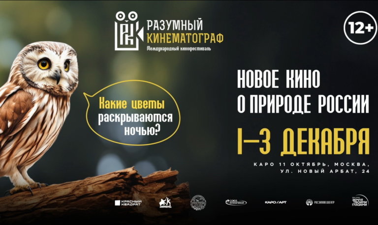 Москвичей и гостей столицы приглашают на «Разумный кинематограф»
