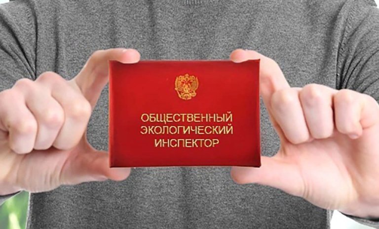 В России могут расширить права общественных экологических инспекторов