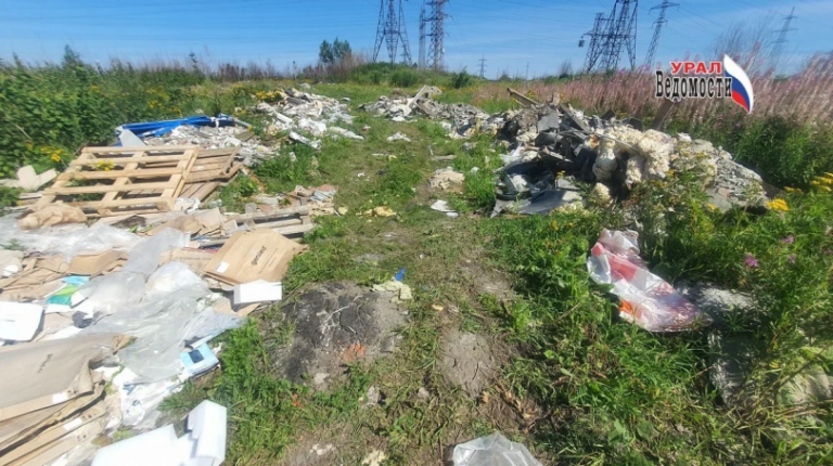 Эколога чуть не задавили на незаконной свалке
