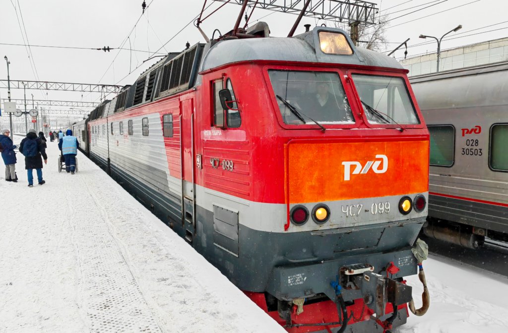 После гибели кота твикса. Симптомы бешенства у котов. После гибели кота твикса. Котят выбросили на мороз. Утрата питомца.