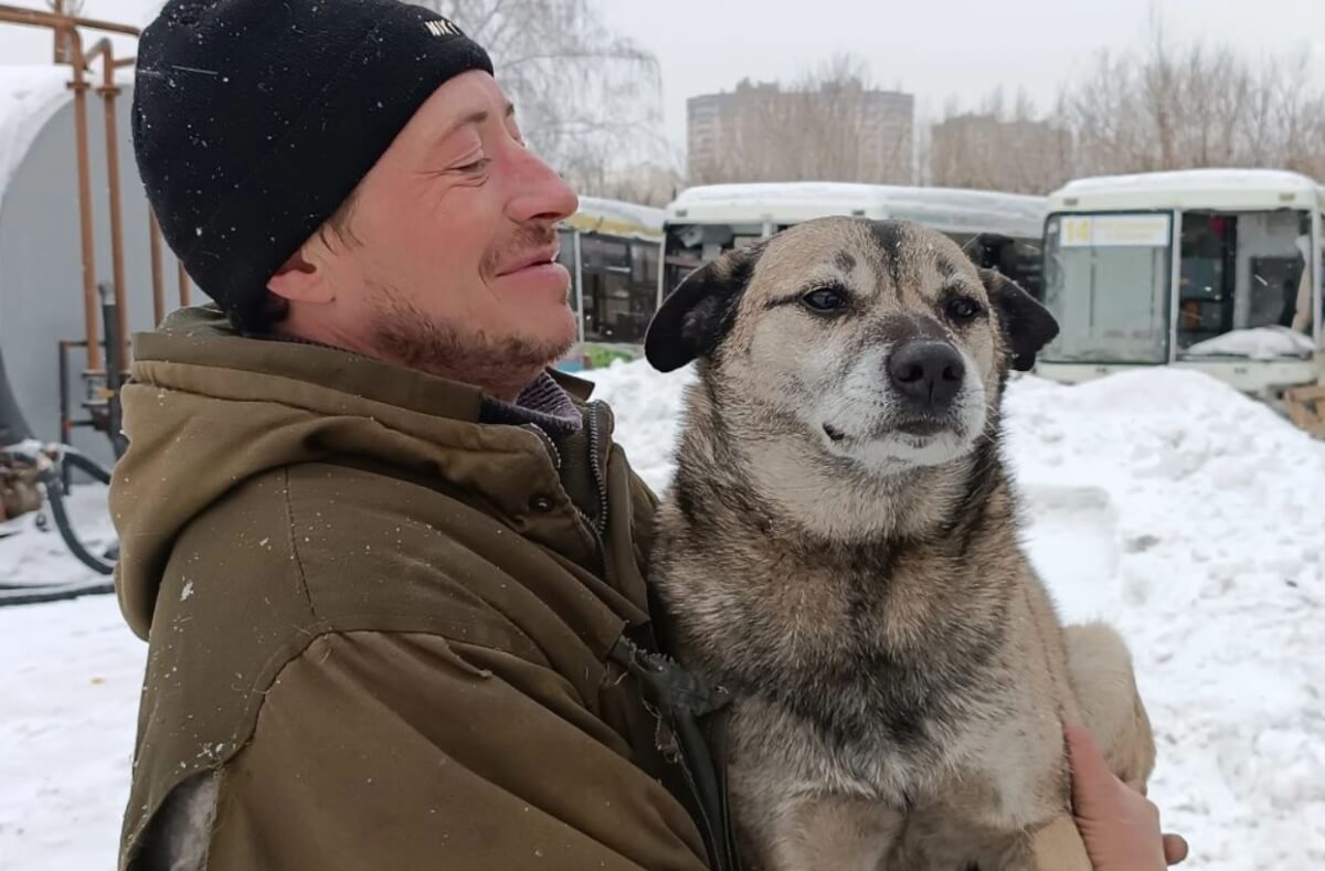 Более 200 собак могут оказаться на улицах Новосибирска из-за закрытия  приюта ⋆ НИА 