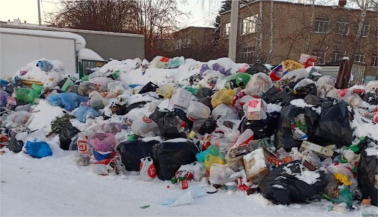 В Челябинске несколько дней не вывозится мусор