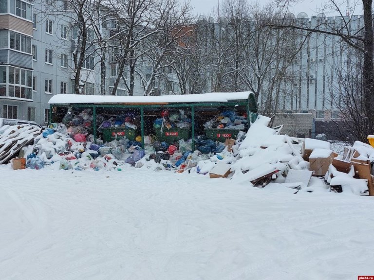 Против псковского регорепатора возбуждено дело из-за мусорного коллапса
